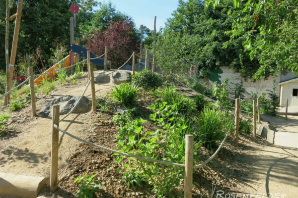 naturnahe-kita-projekt-andernach-02