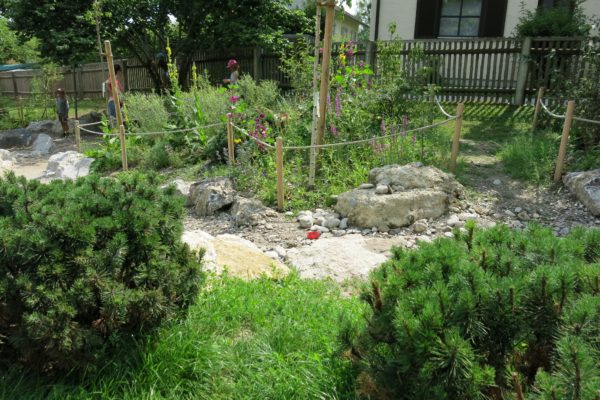 naturnahe-kita-projekt-berg-05