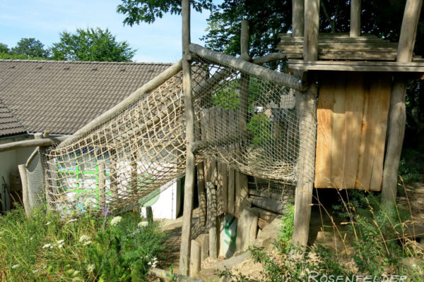 naturnahe-kita-projekt-hennef-01