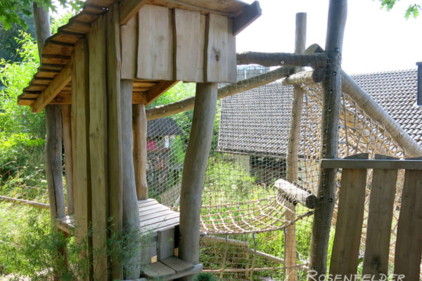 naturnahe-kita-projekt-hennef-07