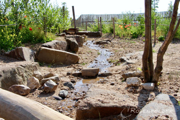 naturnahe-kita-projekt-niederkassel-04