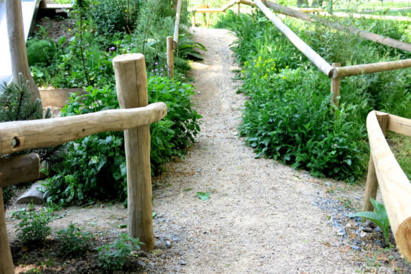 naturnahe-kita-projekt-rondorf-02