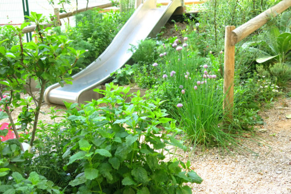 naturnahe-kita-projekt-rondorf-03