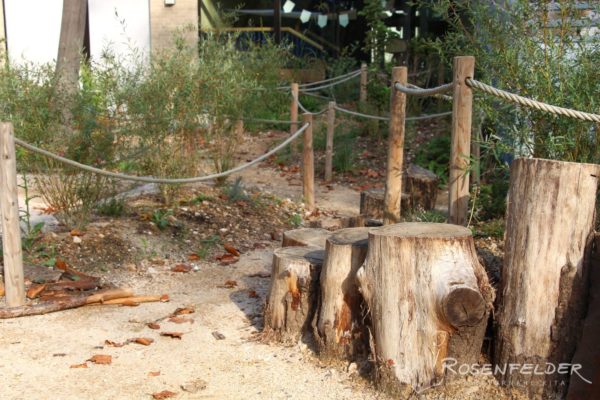 naturnahe-kita-waldorfkindergarten-an-der-aue_10