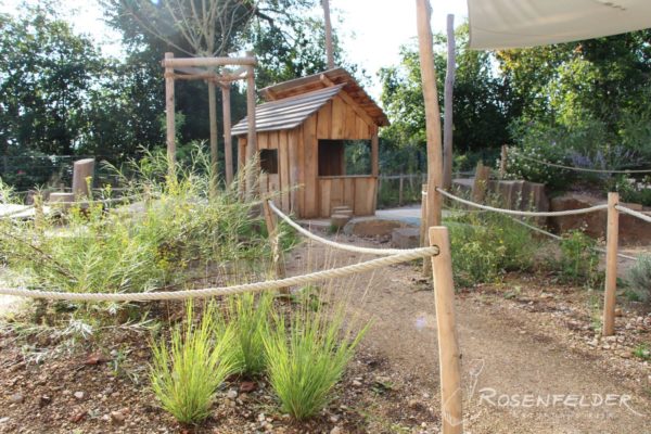 naturnahe-kita-waldorfkindergarten-an-der-aue_11