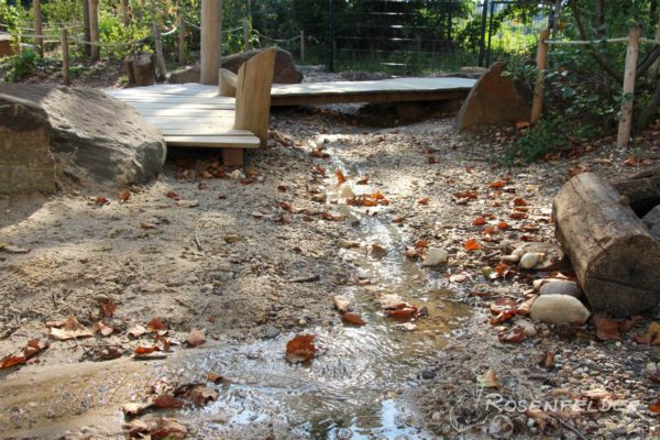naturnahe-kita-waldorfkindergarten-an-der-aue_13