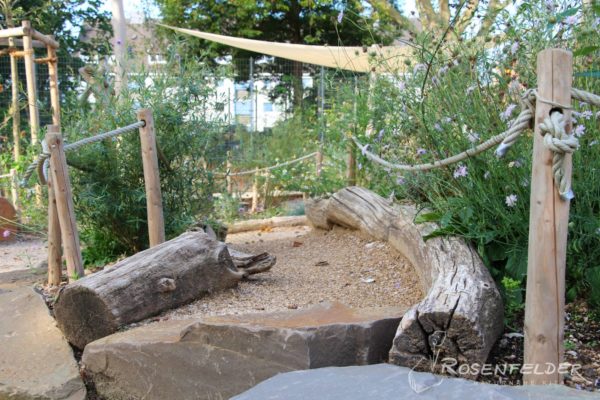 naturnahe-kita-waldorfkindergarten-an-der-aue_6