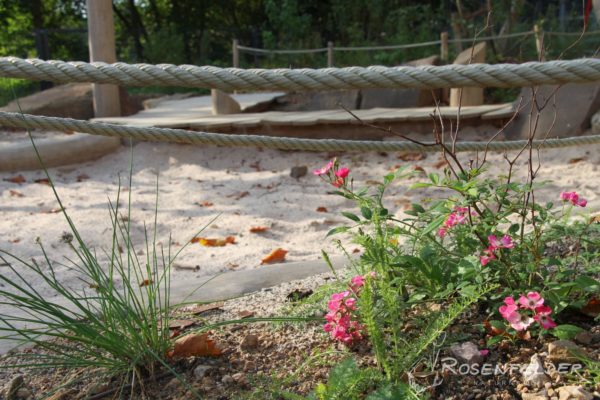 naturnahe-kita-waldorfkindergarten-an-der-aue_8